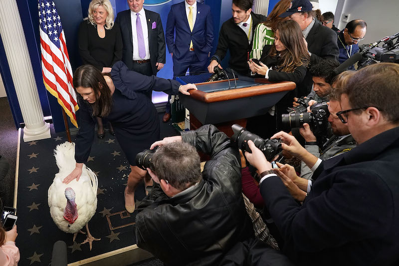 Image via Getty.